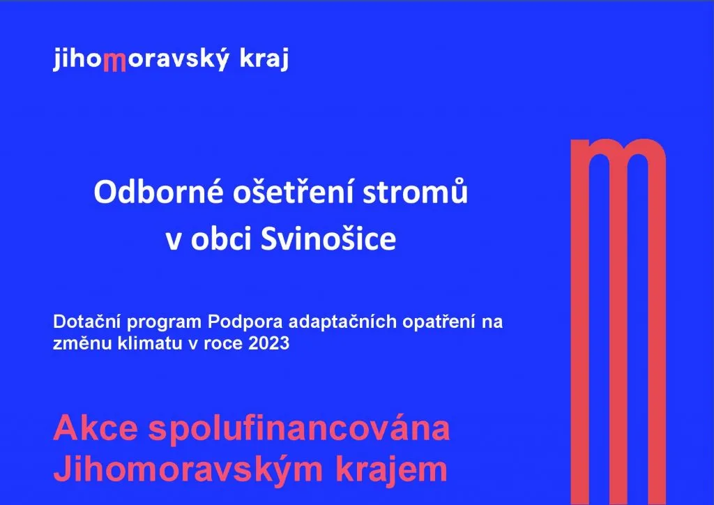 Odborné ošetření stromů